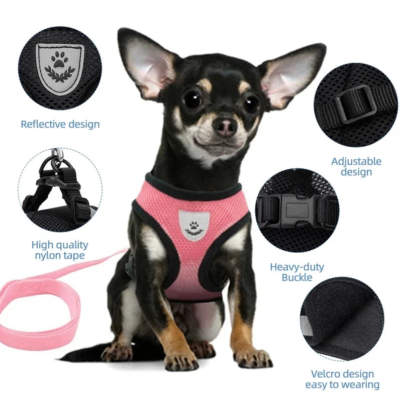 Reflective Mesh Harness & Leash β Soft Adjustable Vest for Cats & Small Dog