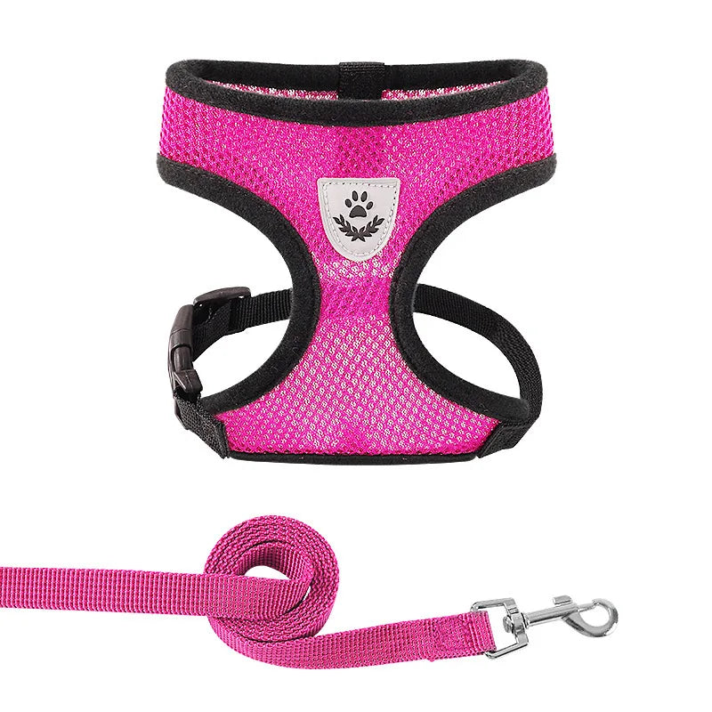 Reflective Mesh Harness & Leash β Soft Adjustable Vest for Cats & Small Dog