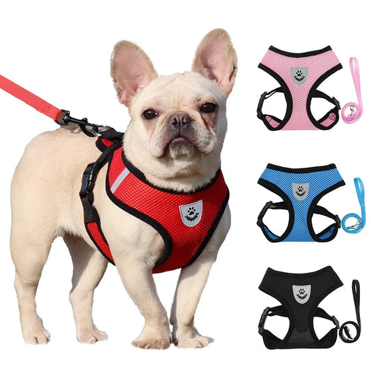 Reflective Mesh Harness & Leash – Soft Adjustable Vest for Cats & Small Dog