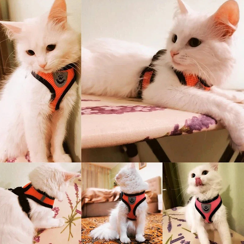 Reflective Mesh Harness & Leash – Soft Adjustable Vest for Cats & Small Dog