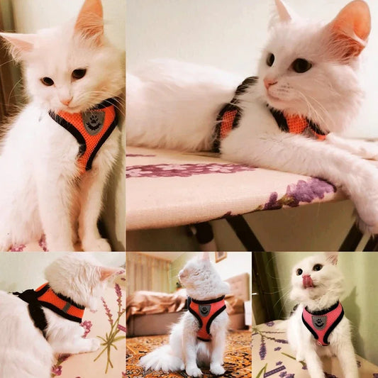 Reflective Mesh Harness & Leash – Soft Adjustable Vest for Cats & Small Dog